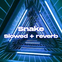 Muppet Dj — Snake - Slowed Reverb (Remix) Ft Seca Records — обложка