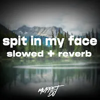Muppet Dj — Spit In My Face (Slowed + Reverb) (Remix) Ft Seca Records — обложка