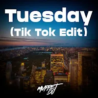 Muppet Dj — Tuesday (Tik Tok Edit) (Remix) Ft Seca Records — обложка