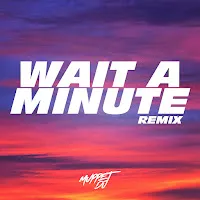 Muppet Dj — Wait A Minute! (Tik Tok Remix) Ft Seca Records — обложка